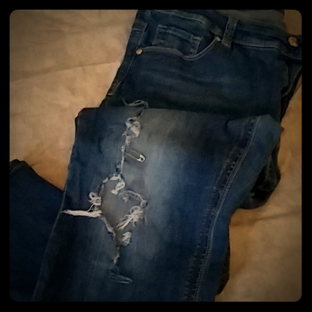Melissa McCarthy Distressed Jeans